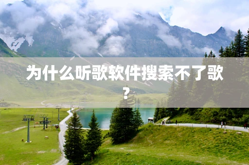 为什么听歌软件搜索不了歌？