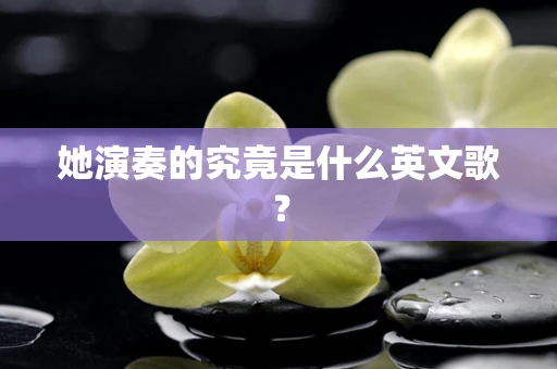 她演奏的究竟是什么英文歌？