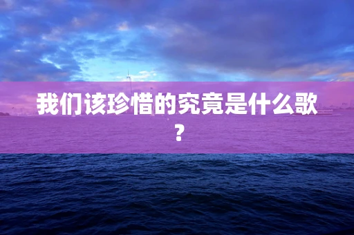 我们该珍惜的究竟是什么歌？