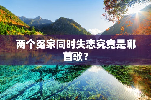 两个冤家同时失恋究竟是哪首歌？