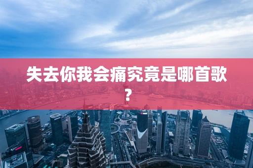 失去你我会痛究竟是哪首歌？