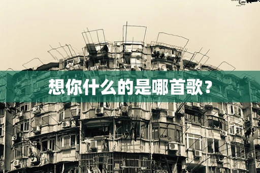 想你什么的是哪首歌？