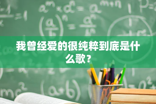 我曾经爱的很纯粹到底是什么歌？