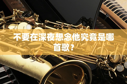 不要在深夜想念他究竟是哪首歌？