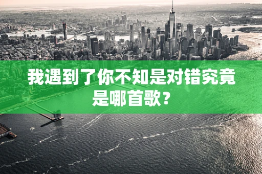 我遇到了你不知是对错究竟是哪首歌？