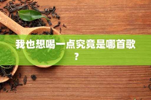 我也想喝一点究竟是哪首歌？