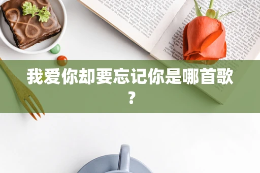 我爱你却要忘记你是哪首歌？