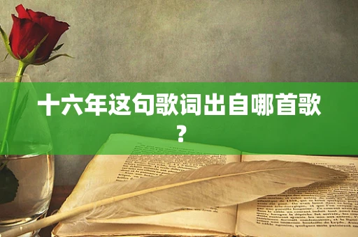 十六年这句歌词出自哪首歌？