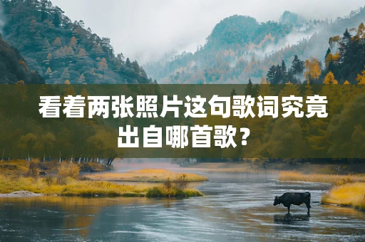 看着两张照片这句歌词究竟出自哪首歌？