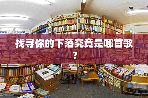 找寻你的下落究竟是哪首歌？