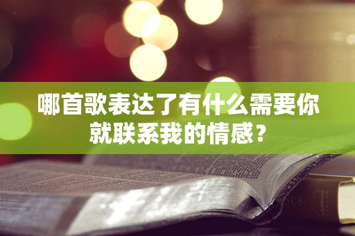 哪首歌表达了有什么需要你就联系我的情感？
