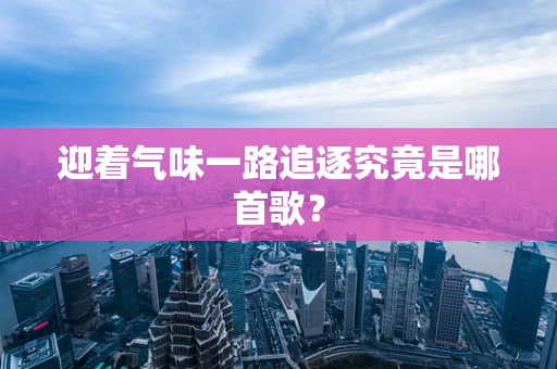迎着气味一路追逐究竟是哪首歌？