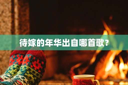 待嫁的年华出自哪首歌？