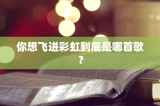 你想飞进彩虹到底是哪首歌？