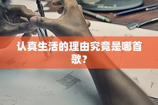 认真生活的理由究竟是哪首歌？