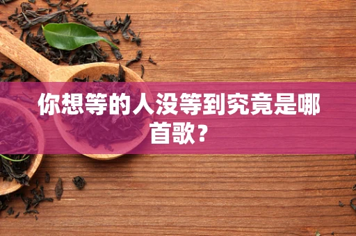 你想等的人没等到究竟是哪首歌？