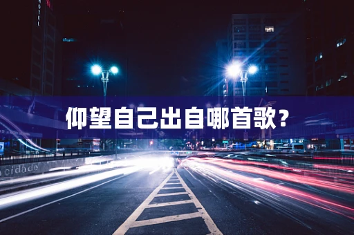 仰望自己出自哪首歌？