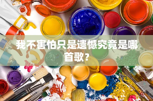 我不害怕只是遗憾究竟是哪首歌？