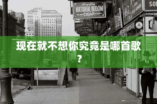 现在就不想你究竟是哪首歌？