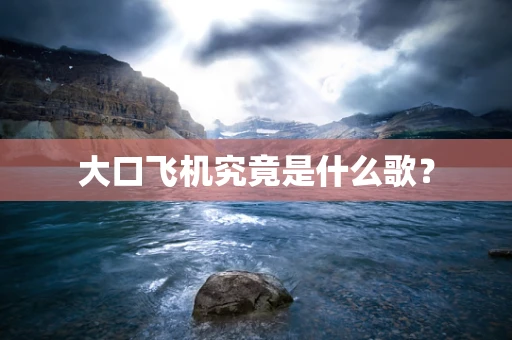 大口飞机究竟是什么歌？