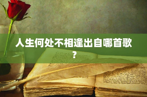 人生何处不相逢出自哪首歌？