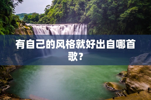 有自己的风格就好出自哪首歌？