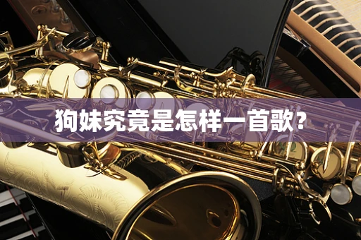 狗妹究竟是怎样一首歌？