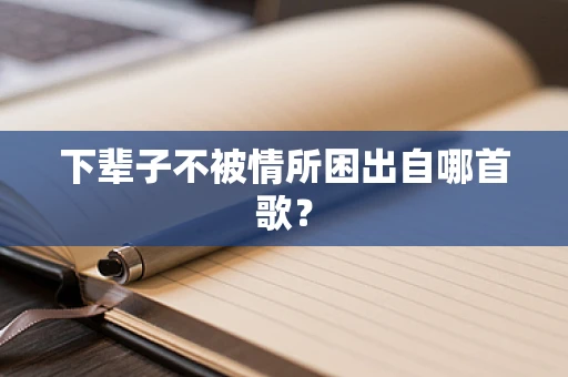 下辈子不被情所困出自哪首歌？