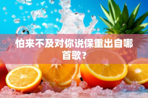怕来不及对你说保重出自哪首歌？