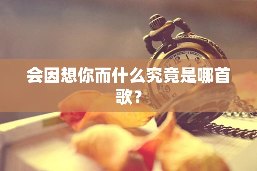 会因想你而什么究竟是哪首歌？