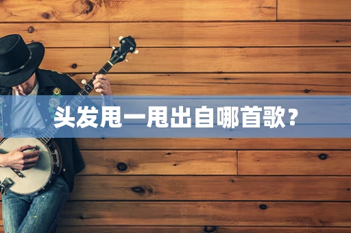 头发甩一甩出自哪首歌？