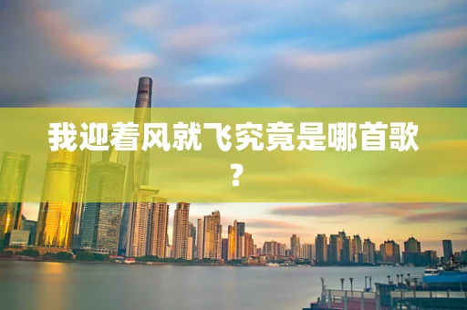 我迎着风就飞究竟是哪首歌？