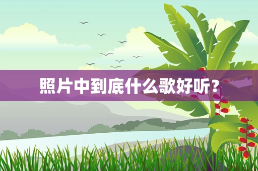 照片中到底什么歌好听？
