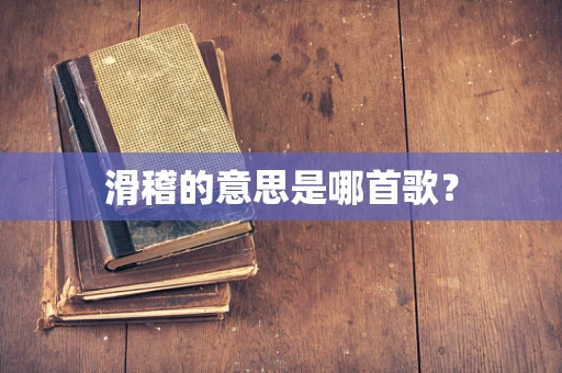 滑稽的意思是哪首歌？