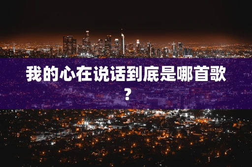 我的心在说话到底是哪首歌？