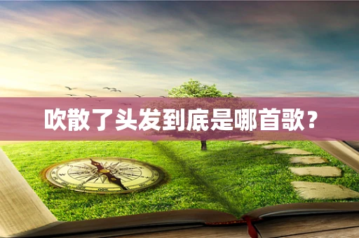 吹散了头发到底是哪首歌？