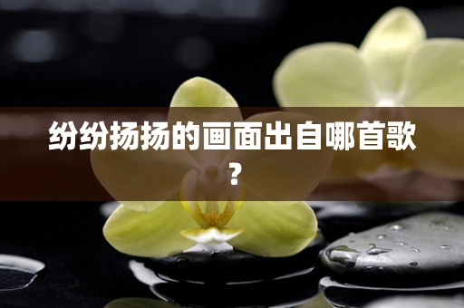 纷纷扬扬的画面出自哪首歌？