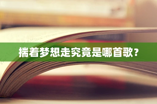 揣着梦想走究竟是哪首歌？