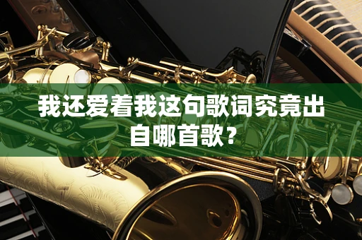 我还爱着我这句歌词究竟出自哪首歌？
