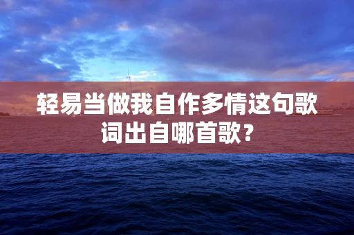 轻易当做我自作多情这句歌词出自哪首歌？