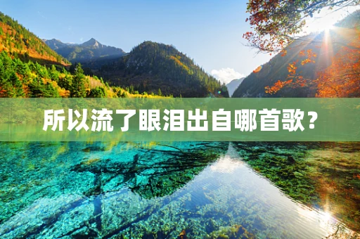 所以流了眼泪出自哪首歌？