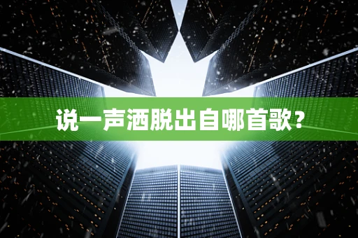 说一声洒脱出自哪首歌？