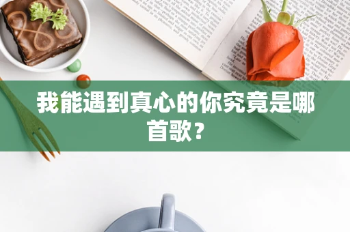 我能遇到真心的你究竟是哪首歌？