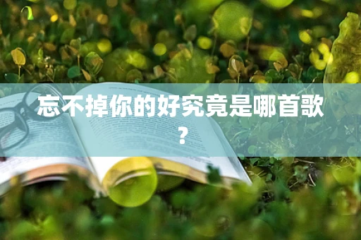 忘不掉你的好究竟是哪首歌？