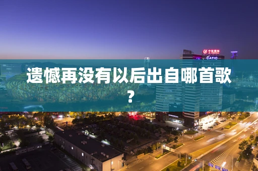 遗憾再没有以后出自哪首歌？