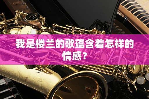 我是楼兰的歌蕴含着怎样的情感？