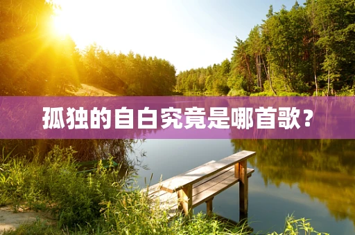 孤独的自白究竟是哪首歌？