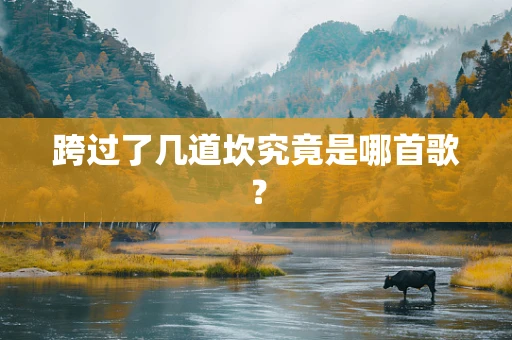 跨过了几道坎究竟是哪首歌？