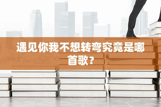 遇见你我不想转弯究竟是哪首歌？