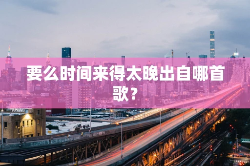 要么时间来得太晚出自哪首歌？
